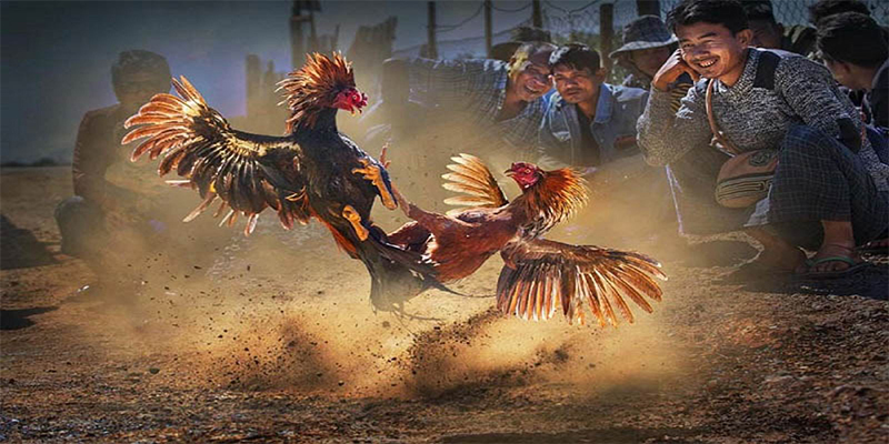 44win55 chơi bắn cá đổi thưởng