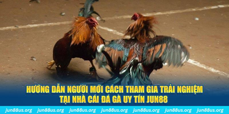 44win55 CQ9 Điện Tử