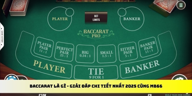 44win55 gà chọi cu cần