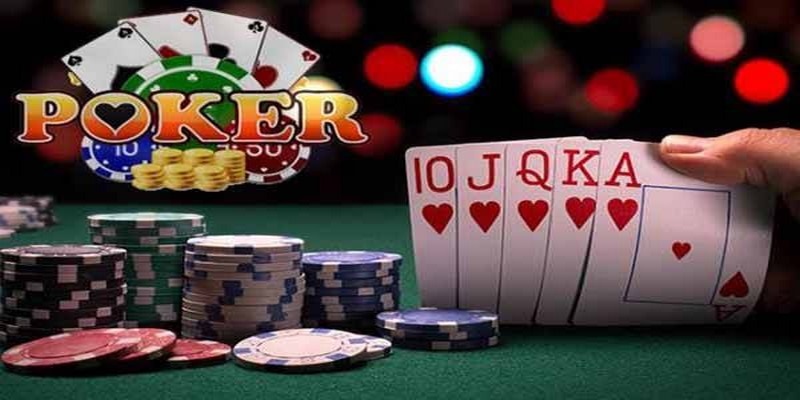 44win55 đá gà thomo trực tiếp