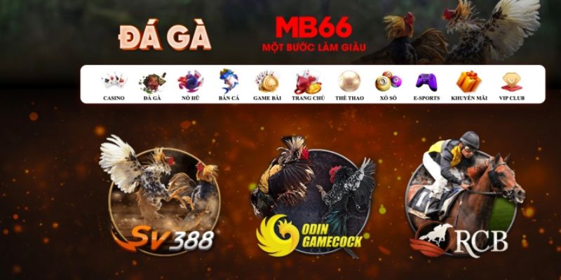 44win55 đăng nhập poker số 1