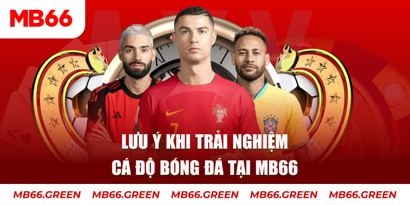 44win55 cá cược là gì