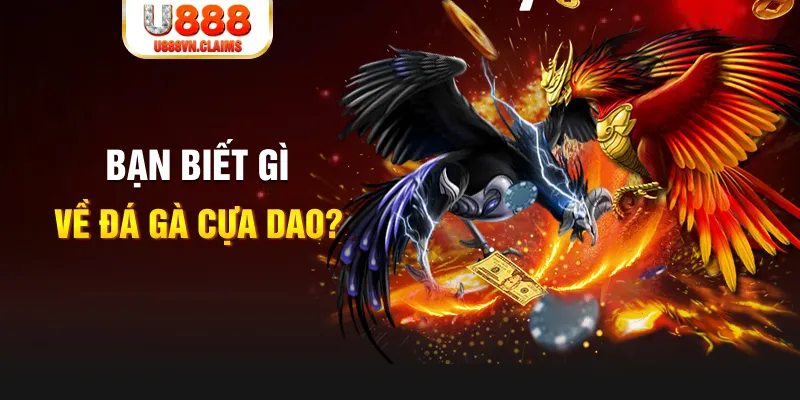 44win55 nổ hủ là gì