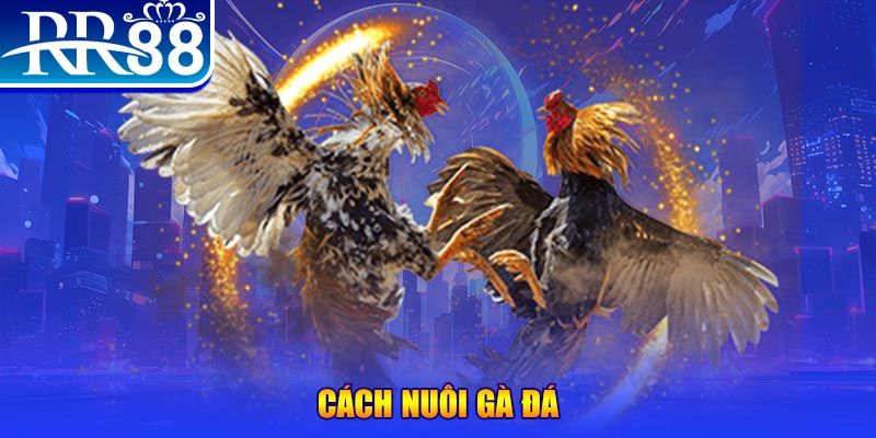 44win55 xổ số an giang