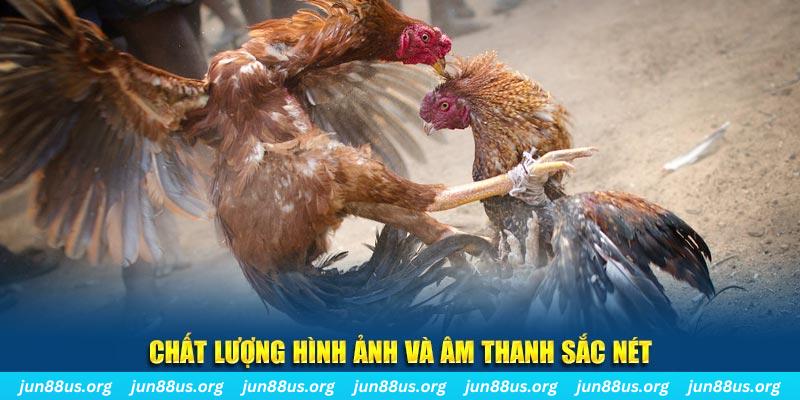 44win55 đăng nhập roulette live