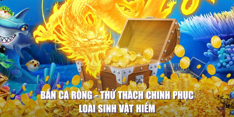 44win55 máy slot game là loại trò chơi gì？