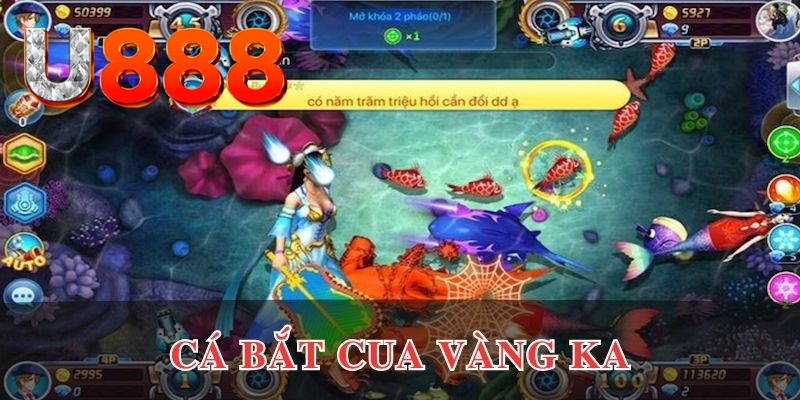 44win55 kết quả xổ số hôm nay