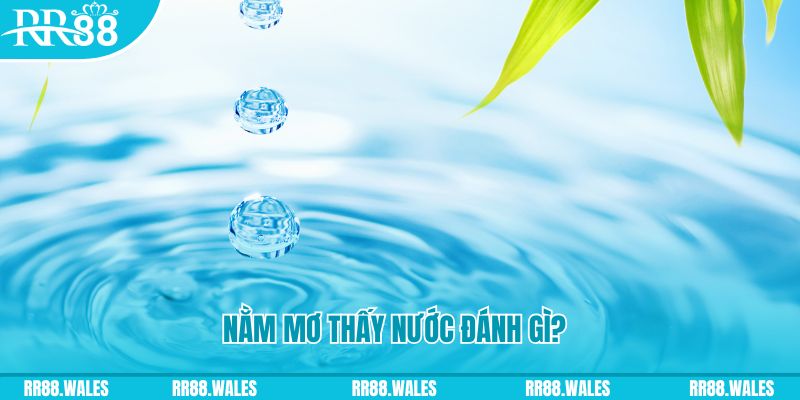44win55 TP Bắn cá