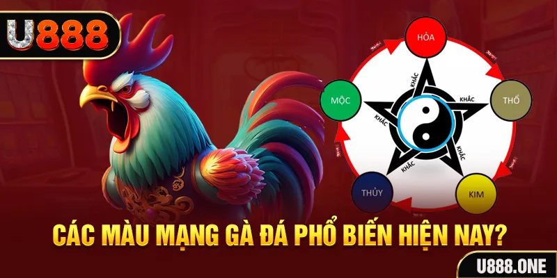 44win55 trực tiếp đá gà 88