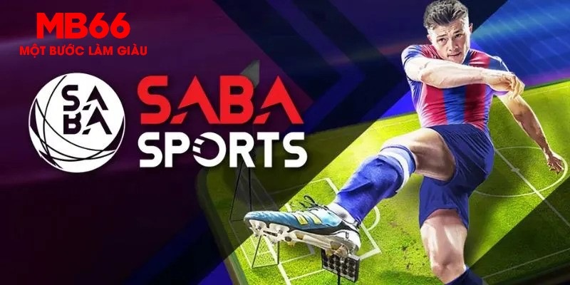 44win55 gà chọi c1 thomo