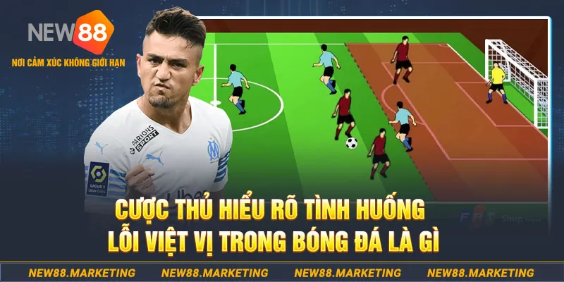 44win55 long bảo baccarat la gì