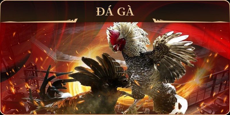 44win55 xổ số miền nam thứ hai