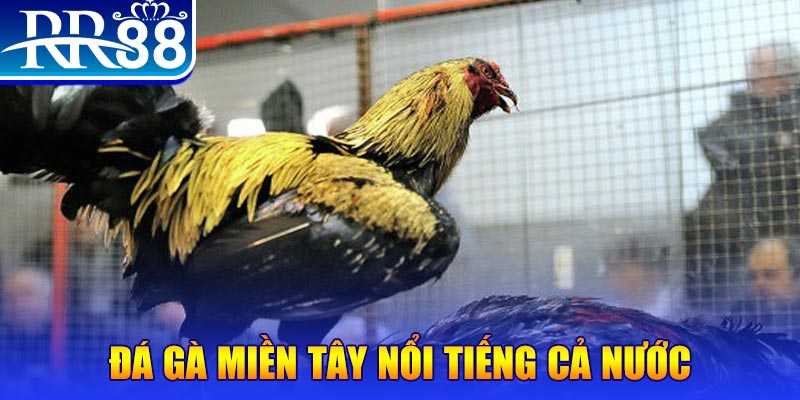 44win55 JILI Game Bài 3d