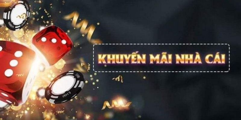 44win55 what is live dealer casino
