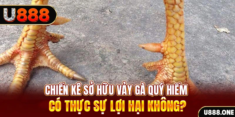 44win55 nohu .mx nổ hủ là gì