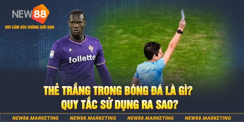 44win55 gà chọi mộc hóa