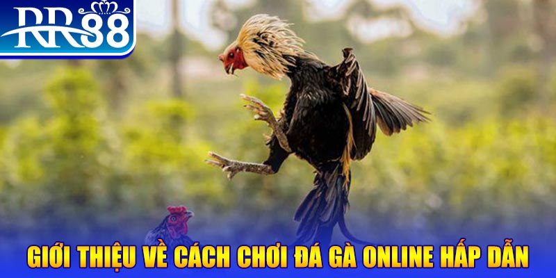 game nổ hũ rút tiền mặt là gì