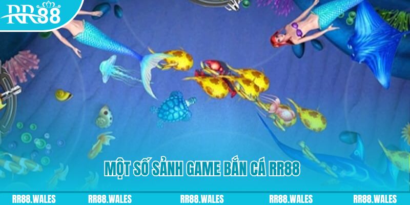 44win55 đăng nhập mậu binh uy tín