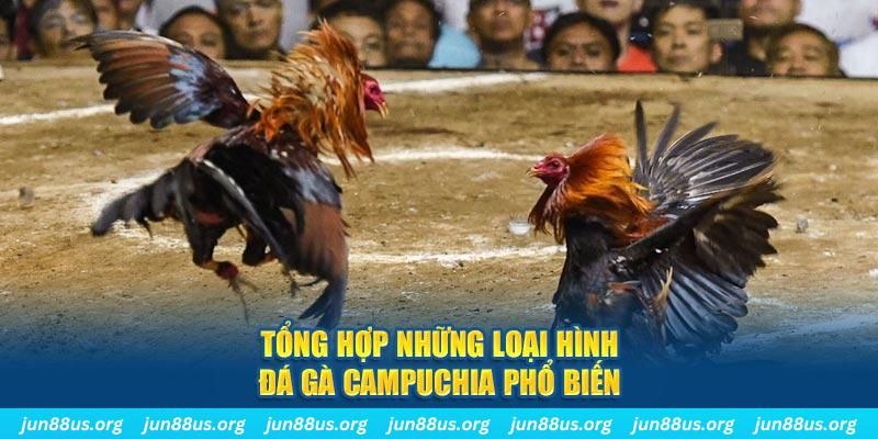 44win55 đăng nhập nổ hũ 2024