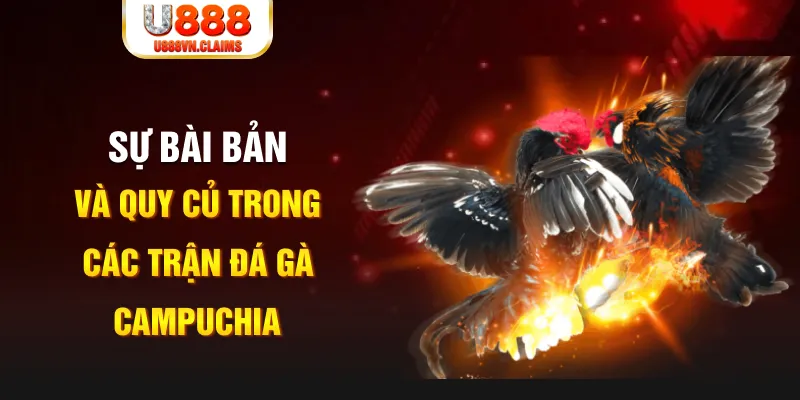 44win55 YGR Điện Tử