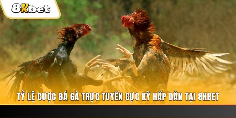 xổ số trực tiếp miền bắc