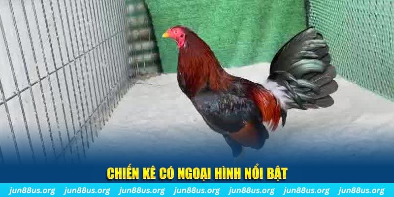 44win55 chạy quảng cáo cho game bài bị phạt như thế nào