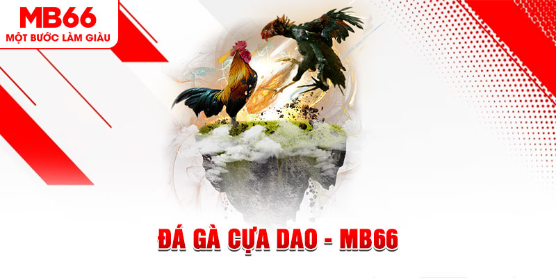 44win55 đá gà sv388 gold
