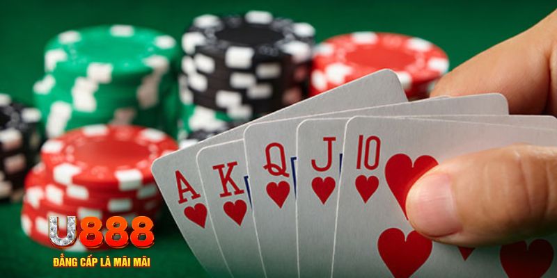 44win55 đá gà trực tiếp thomo 67